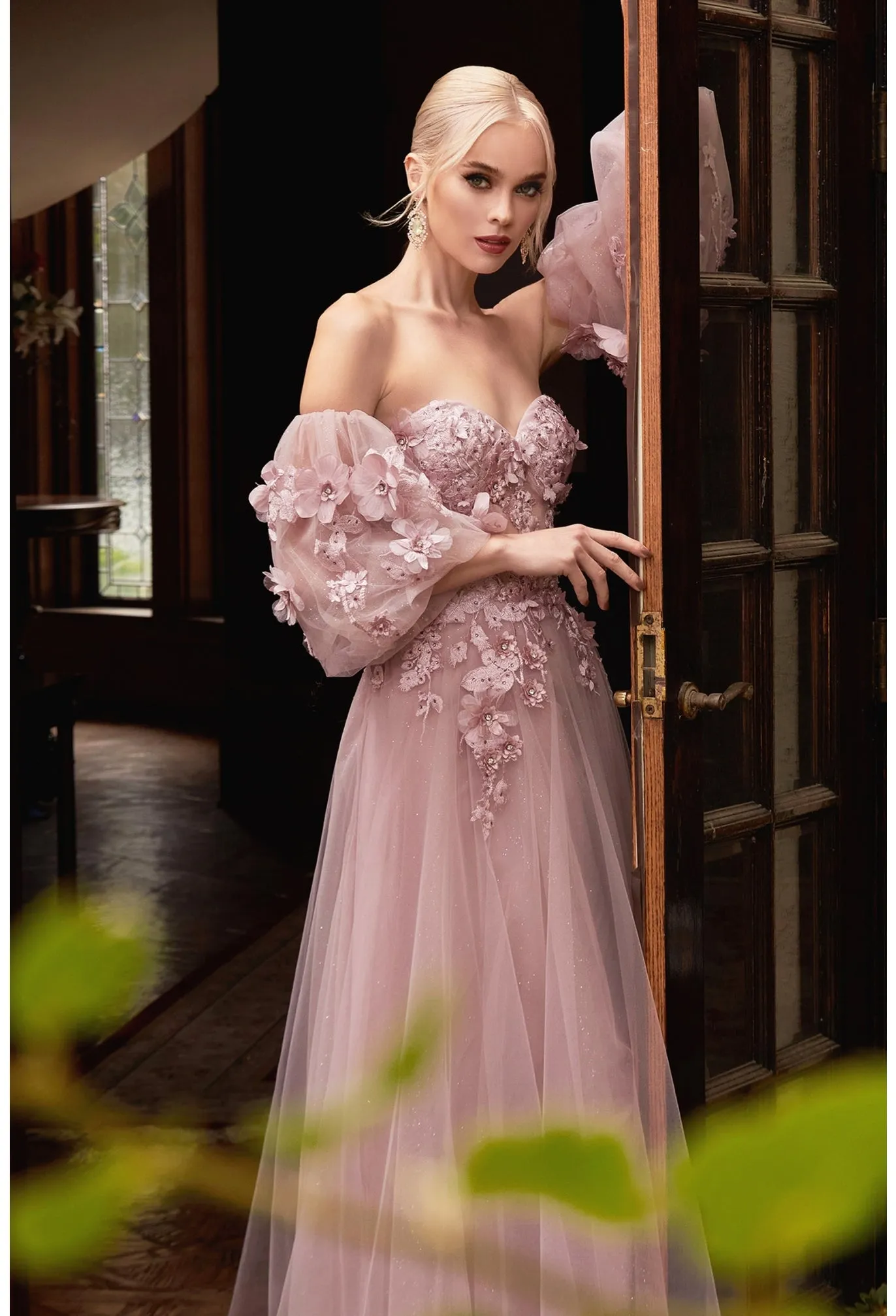 Cinderella Evening Dress CD962