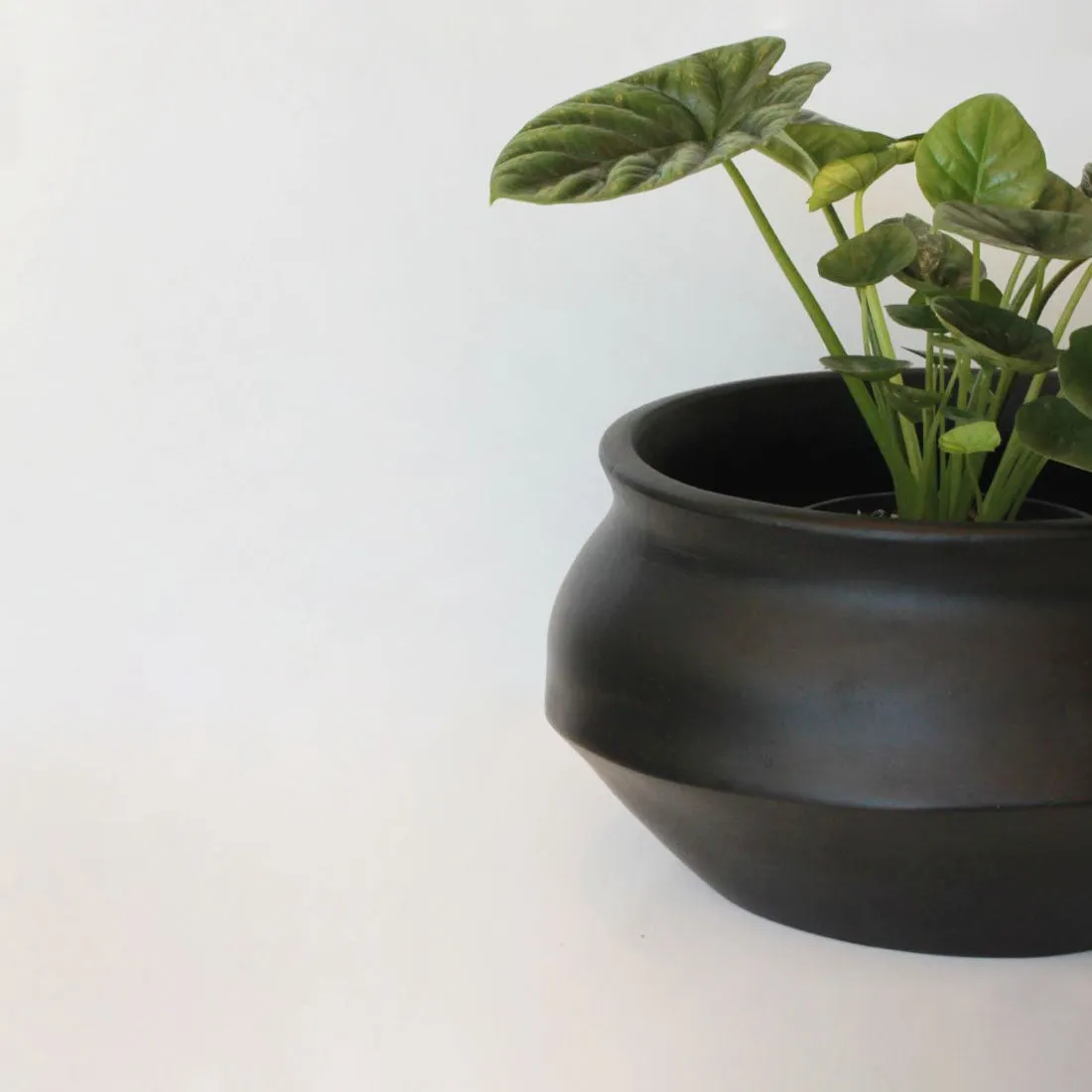 Urban Oasis Naya Pot Matte Black Medium