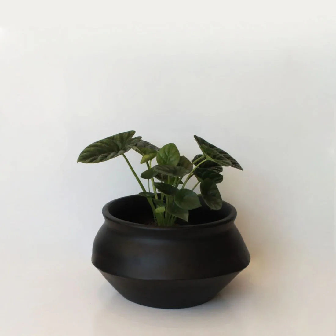 Urban Oasis Naya Pot Matte Black Medium