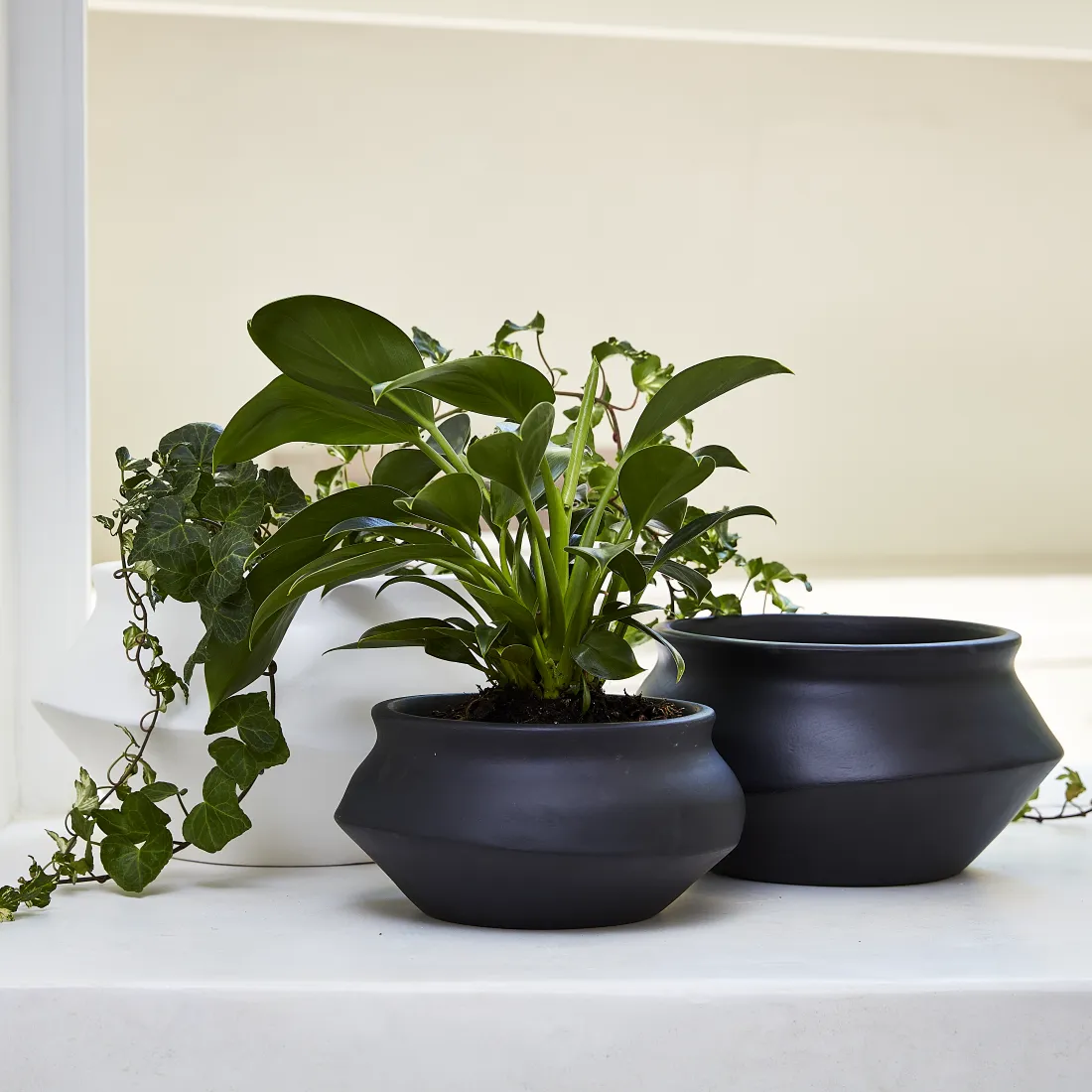 Urban Oasis Naya Pot Matte Black Medium